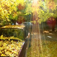 Золотая осень во дворе моём. :: Элеонора Чемкаева