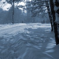 Прошедшей зимой :: Эдуард Цветков