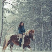 Зимняя сказка с конем :: Александра Карпушкина