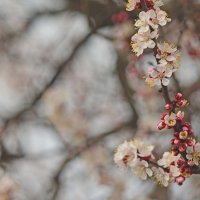 Весна пришла :: fotomaf photorpher