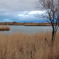 топарские озера :: Сергей Дорохов