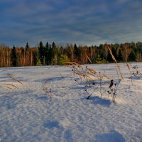 Зимний закат. :: Анатолий Борисов