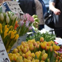 Flower Market :: Виктория 