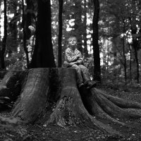 Сказочный лес :: Полина Негус 