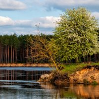 Наш любимый край :: Андрей Матвеенка