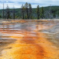 Yellowstone :: Lucky Photographer