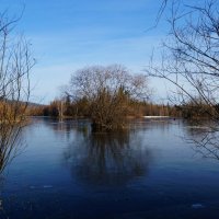 Весна, утро, заморозок :: Сергей Шаврин