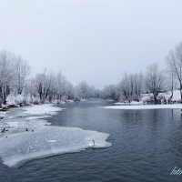 На реке Свияга весенним утром :: Евгений Софронов