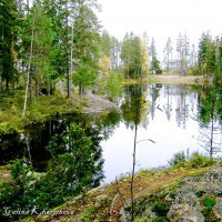 Финский лес, или Карелия? :: Poliano4ka Poliano4ka