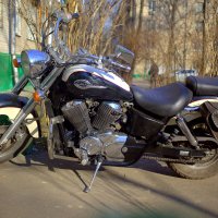 Honda Shadow :: Анатолий Мамичев