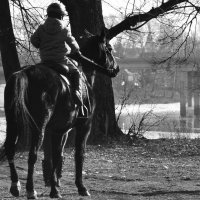 Конь и его мальчик :: Ирина Соловьева