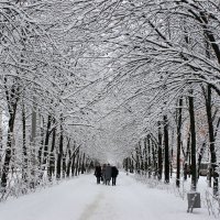 ...зима - 2013 :: виктор ЗАСОРИН