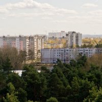 В город приходит весна :: Галина Петрова