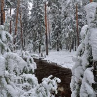 Снегопад в апреле :: vladimir Bormotov