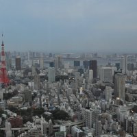 Вид на Токио с 52 этажа смотровой площадки.Сумерки. :: Ева Такус 