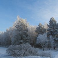 Зима в Пущино :: Елена Китанина