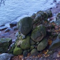Камни старой крепости :: vik zhavoronka