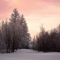 Сказка.. :: Александр Тихонов