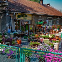 Сельский цветочный магазинчик :: Wiktor Kowalow