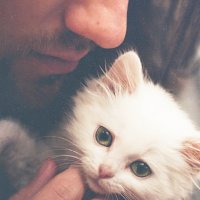 Soft kitty :: Lina Morroz