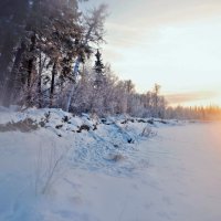 Отблеск ночи.. :: Александр Тихонов