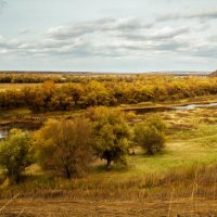 осень :: Гульнара Джарова