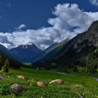 В ущелье Ак-Суу. :: Kенжебек Токочев