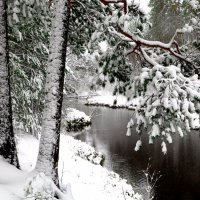 Первый снег в ХМАО :: Зуфар Халиков