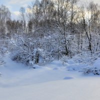 Пришла зима :: Николай Мальцев