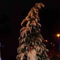 елка снег и снегурка все люблю я в Крыму!!! :: Алекс Aбвгдейкин