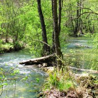 Чернореченский Каньон, р.Черная :: Татьяна Гайдукова