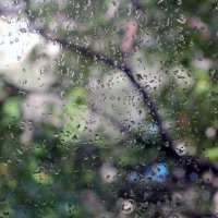 The rainy window :: Валерия Похазникова