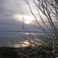 Облачный закат на озере. :: Желтовская Татьяна 