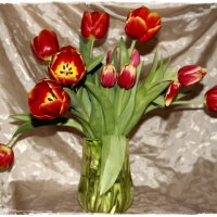 Тюльпаны :: ОЛЬГА (olinaviolina)