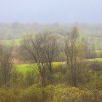 Весна :: Денис Матвеев