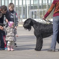 Знакомство :: Елена Belika