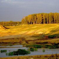 Пейзаж на карьере. :: Ольга Бузунова