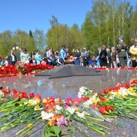 Памяти павших.... :: Лидия Мамаева