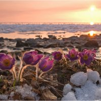 Весна на Байкале :: Владимир Тюменцев