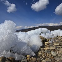 Из серии весенних :: Вера Петрова