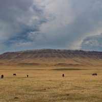 Величие природы. :: Наталья Юрова