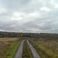 Осень в дороге. :: Александр Жизняков