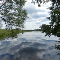 Облака в реке :: Наталья Левина
