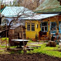 Сельская жизнь в центре города :: Дмитрий Сопыряев