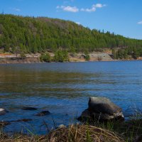 Водохранилище в Нижней Туре :: Андрей 