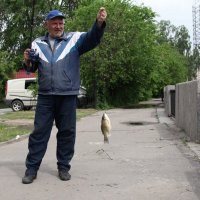 вот такие караси в Харькове с набережной :: васек задунайский