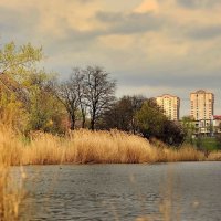 НА ПРУДУ. :: ОЛЕГ ПАНКОВ