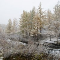 Сентябрь в тундре :: Сергей Карцев