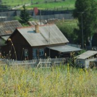 Травушка :: Наталья Покацкая