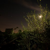 Лунная ночь... :: Георгий Шелест